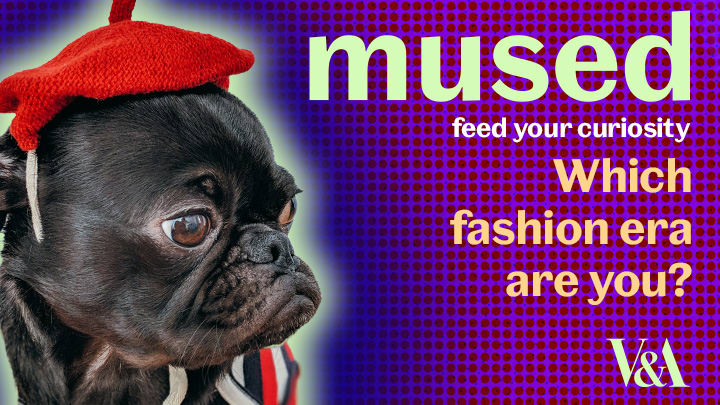 An image of a dog wearing a beret with a halo effect and a dotted background and text saying - mused feed your curiosity - which fashion era are you?